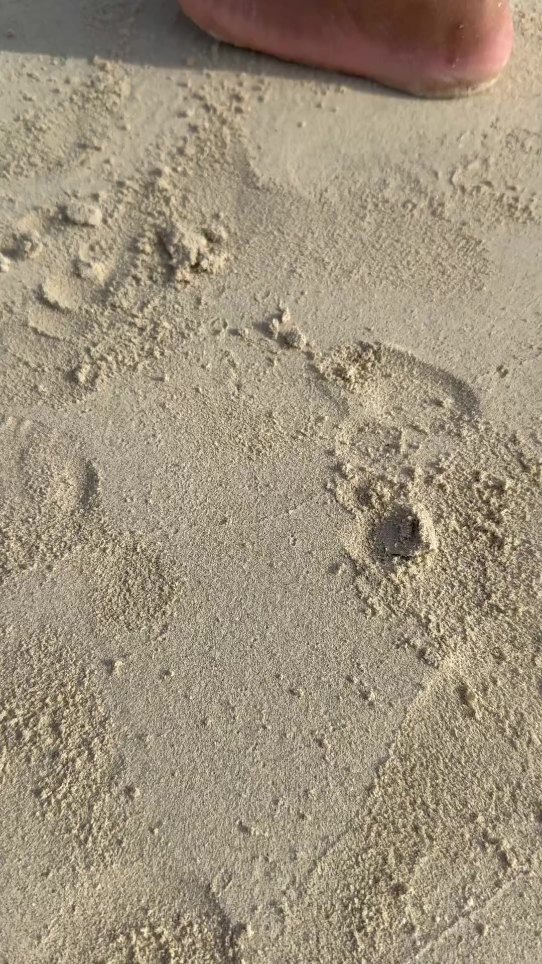 @Bharat raj