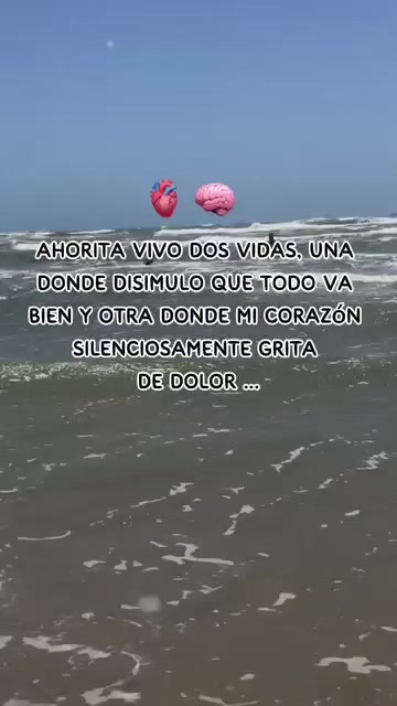 @luisfernandohcari