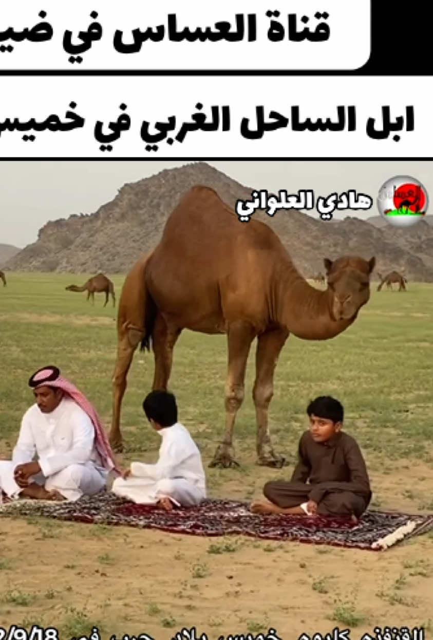 @هادي العلواني القنفذة