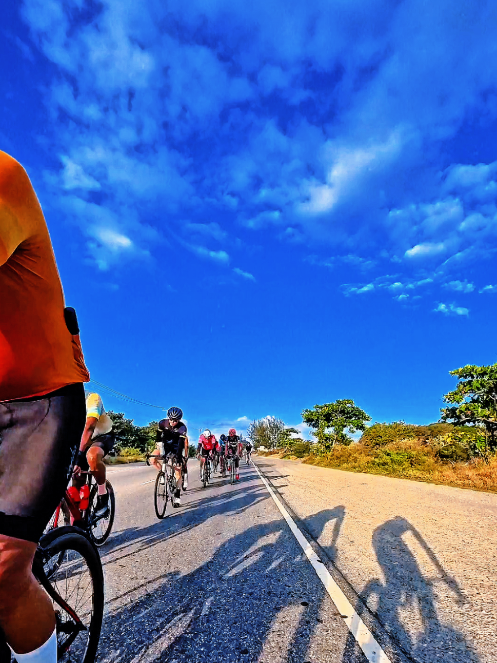 @pedalpulse