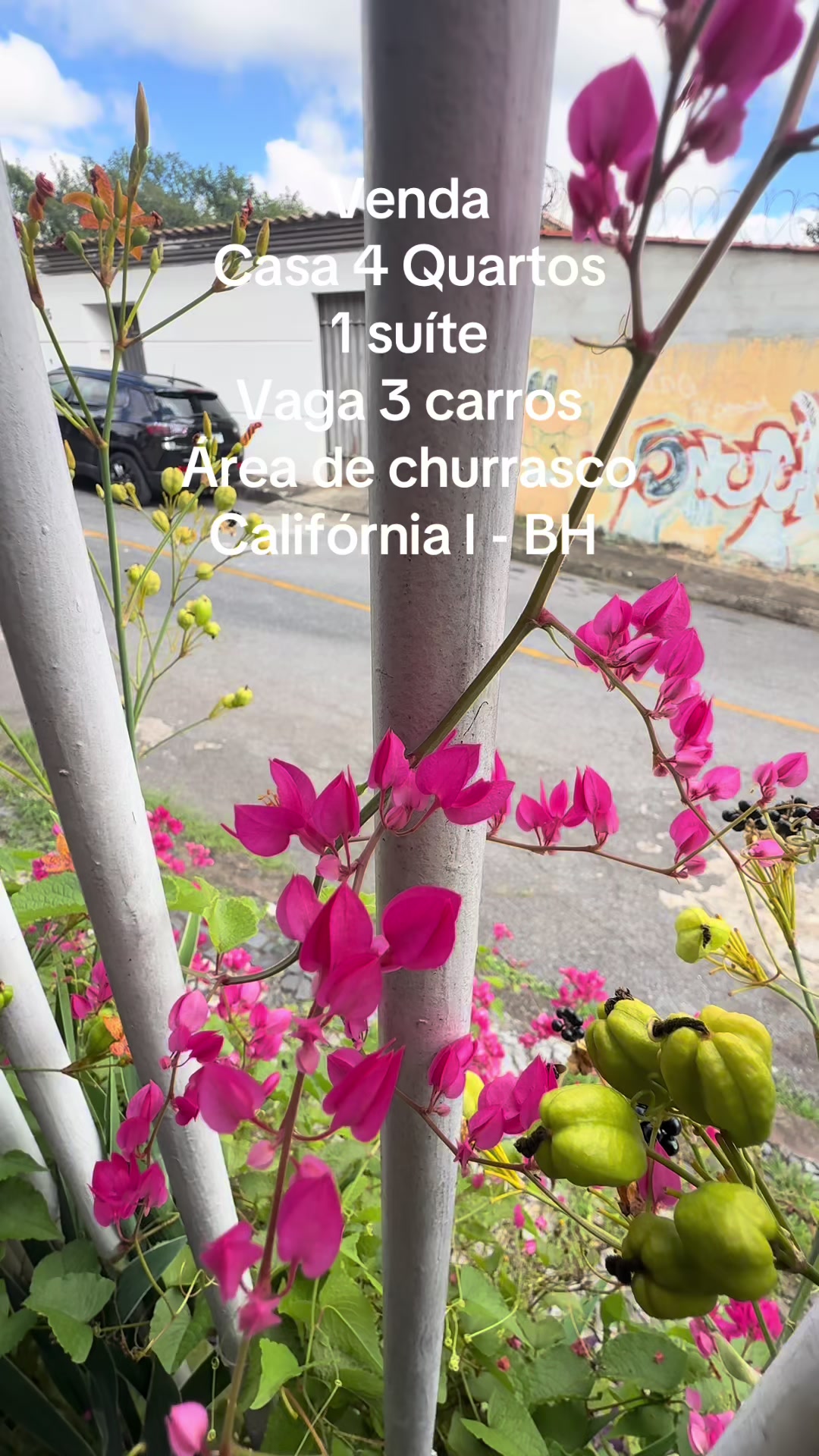 @FP Mendes Imovéis