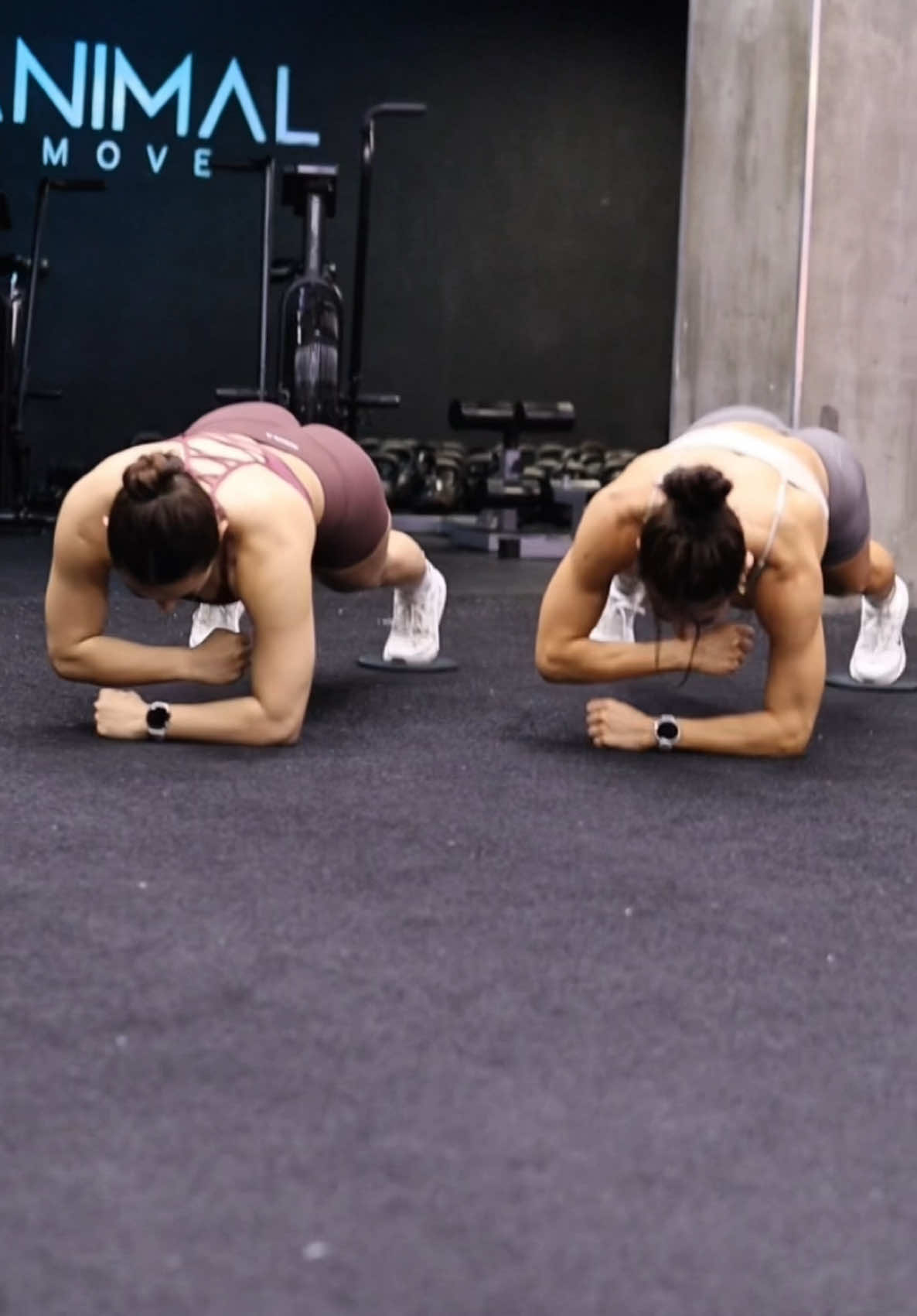 @ANIMAL MOVE