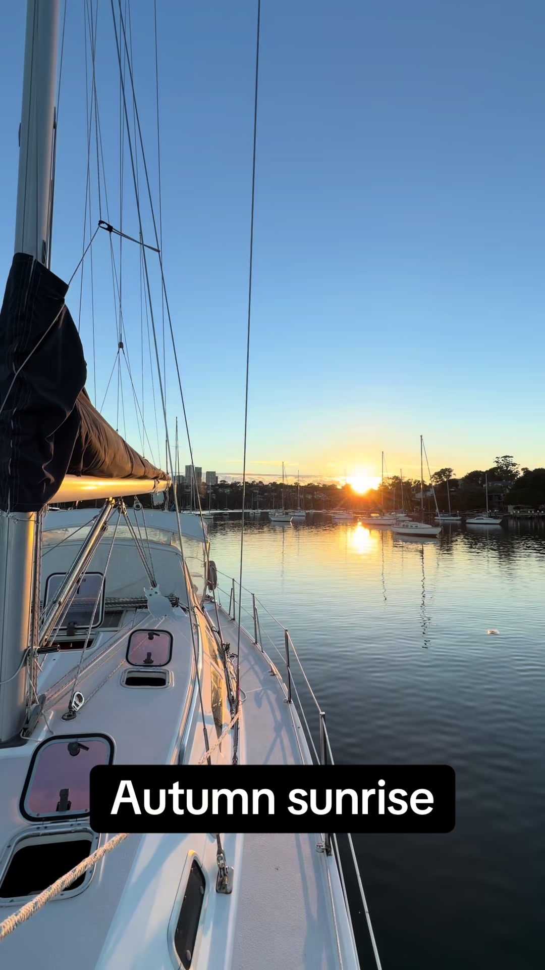@treasure_sailing