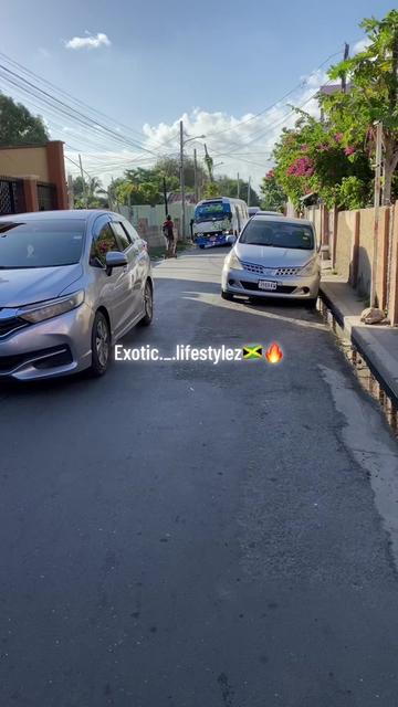 @Exotic._.lifestylez🇯🇲🔥