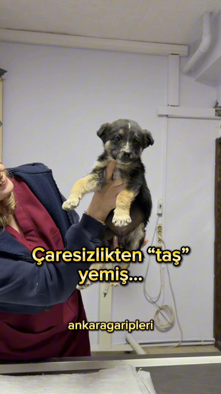 @Asiye