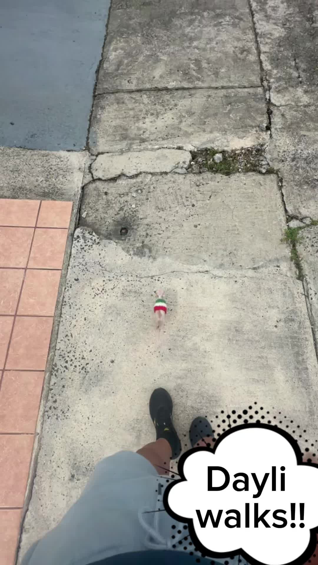 @mini.mew.offical