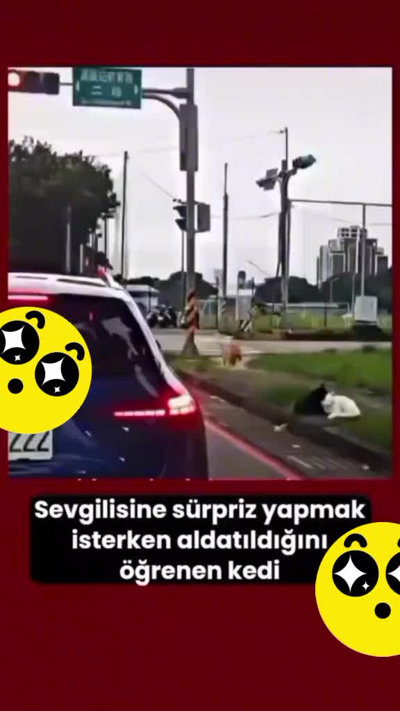 @Dogan Sahin