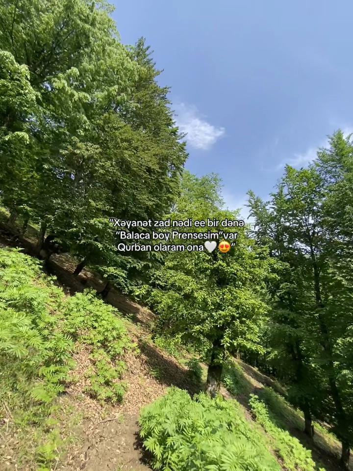 @𝐅𝐚𝐦𝐢𝐥❤️&zwj;🩹🩹