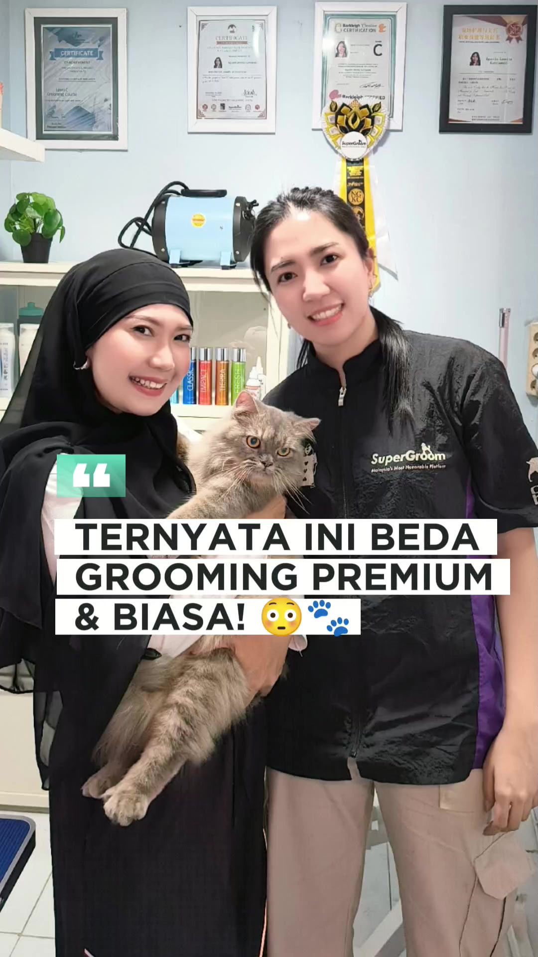 @Faris Lovitasari || Reviewer