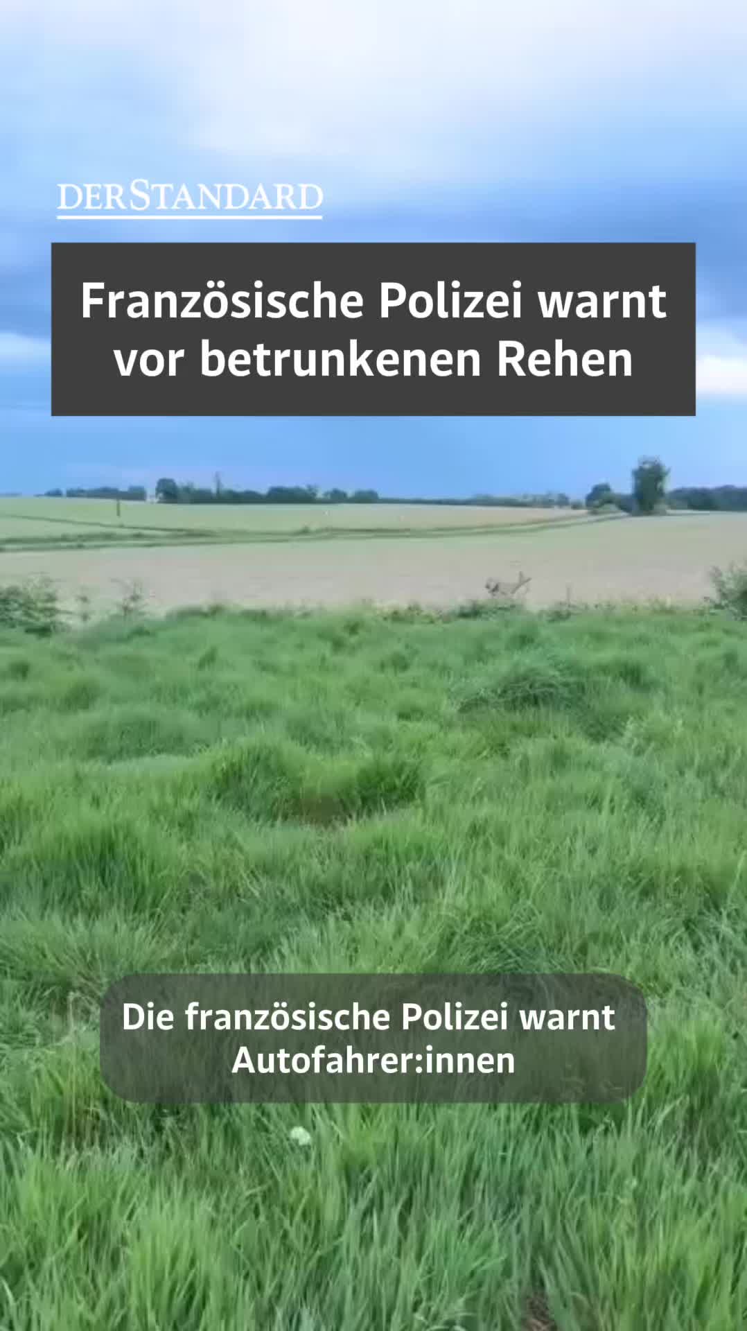 @DER STANDARD News