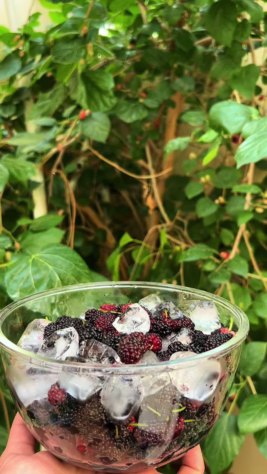 @﮼عبدالرحمن ديسمبر🤍♕
