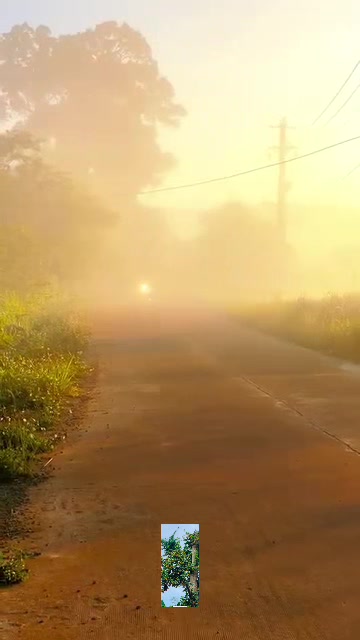 @Phạm Văn Thảo