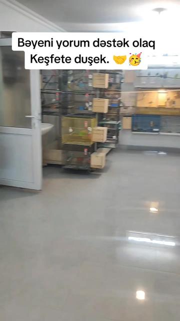 @Zoo_ucuzluq