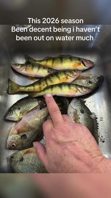 @Gone fishing