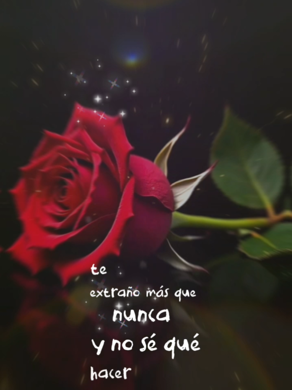 @♥️ 𝐹𝑒𝓁𝓎 ♥️