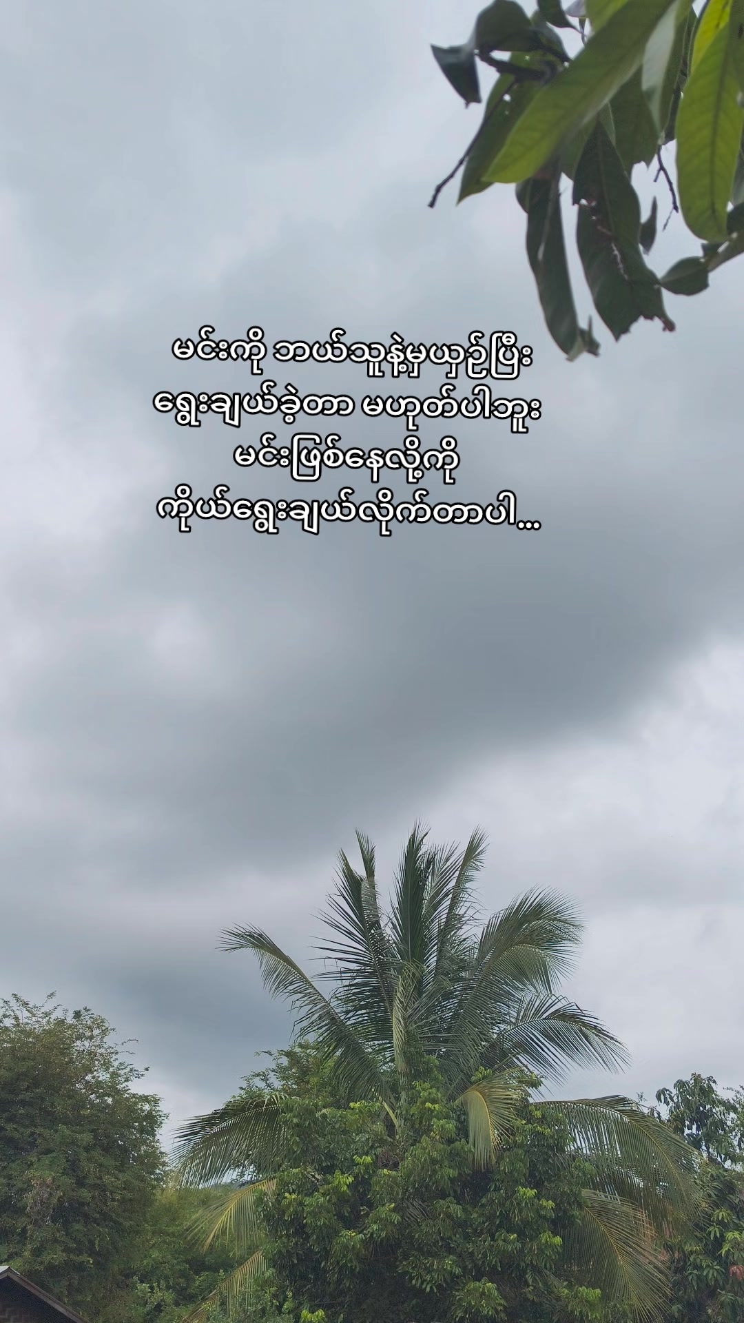 @🍃အမ်"Bi🍀