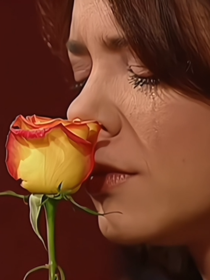 @MerakiSyF