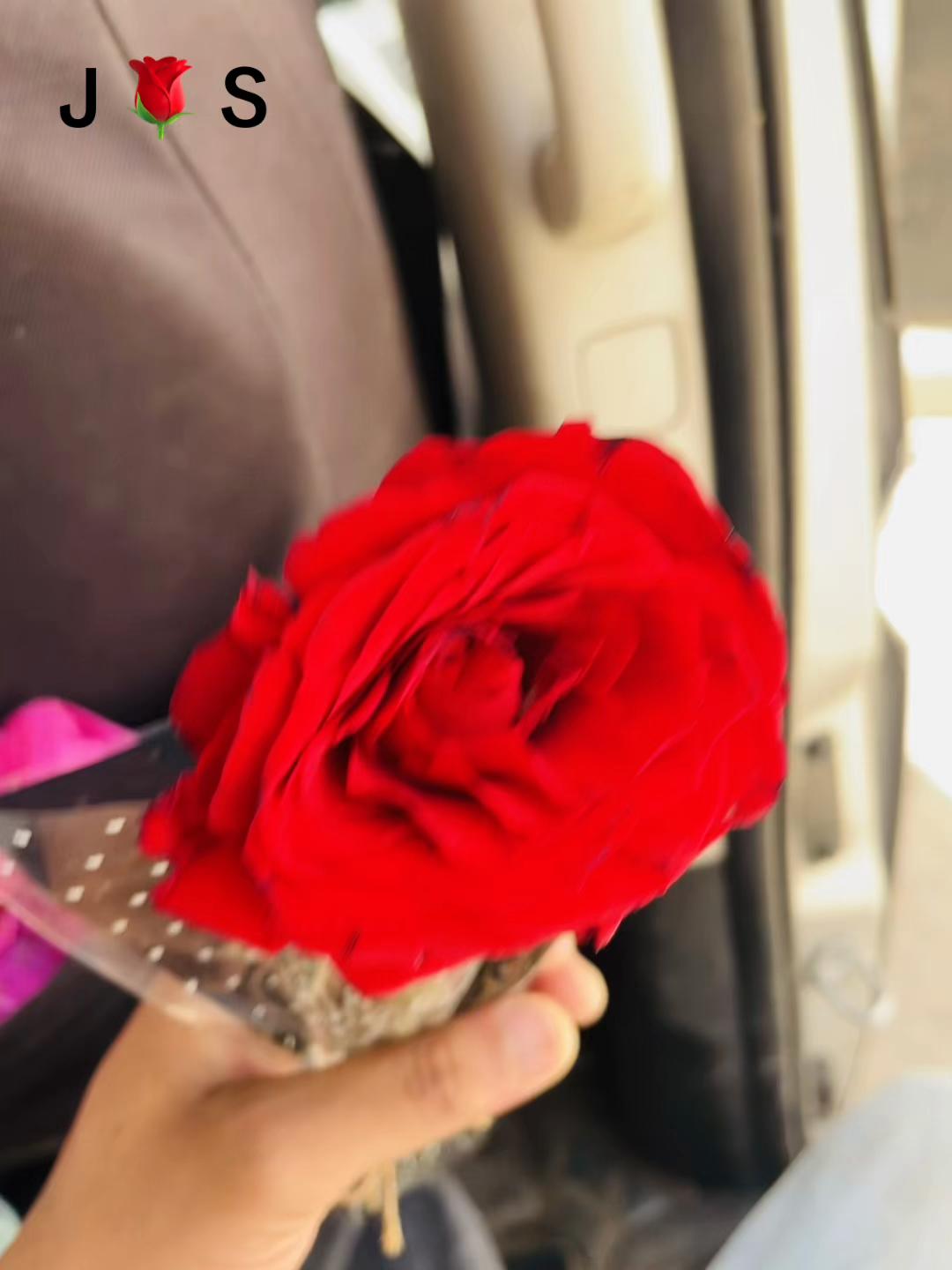 @ 𝑀𝒟𝒥𝒰𝒲𝐸𝐿 