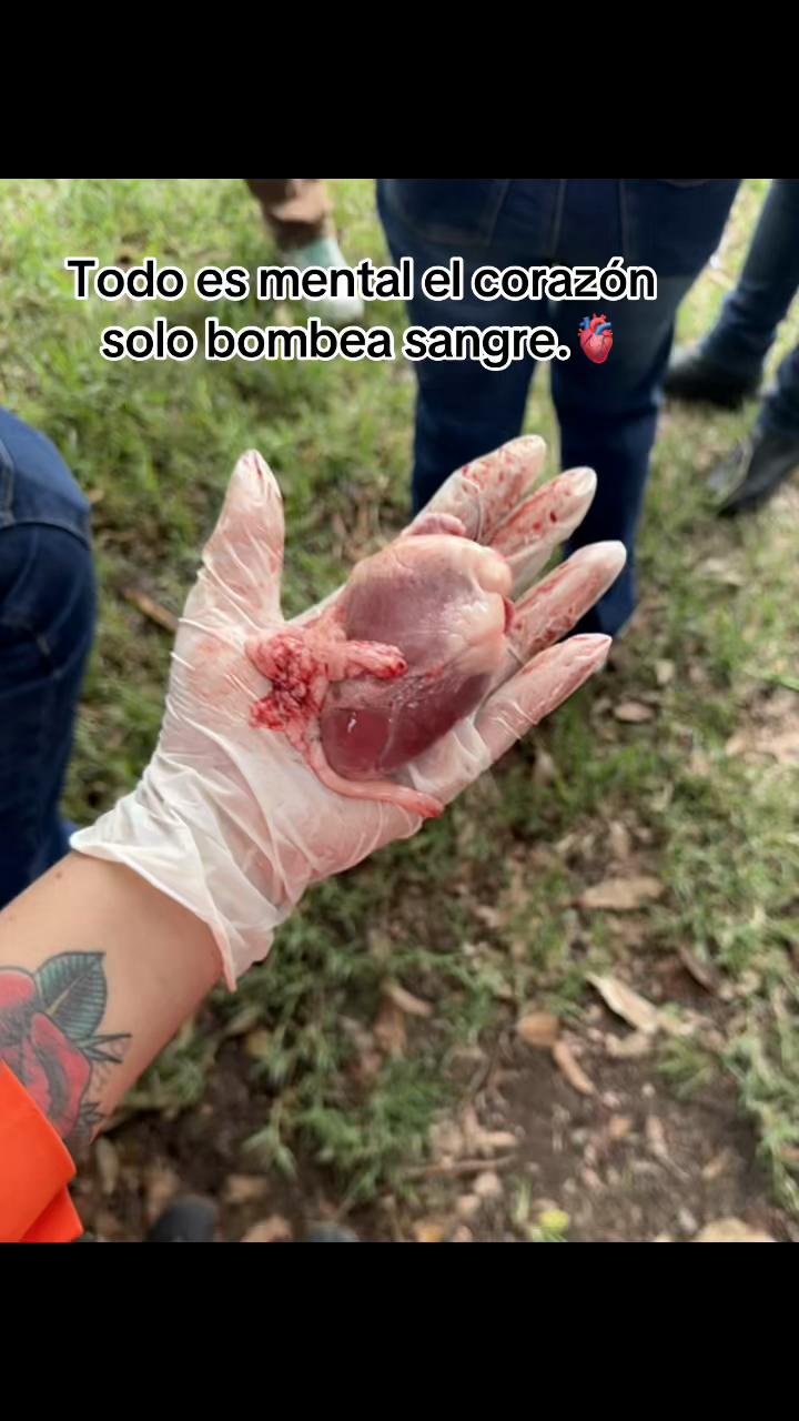 @Tóxica JsJs😈🫦