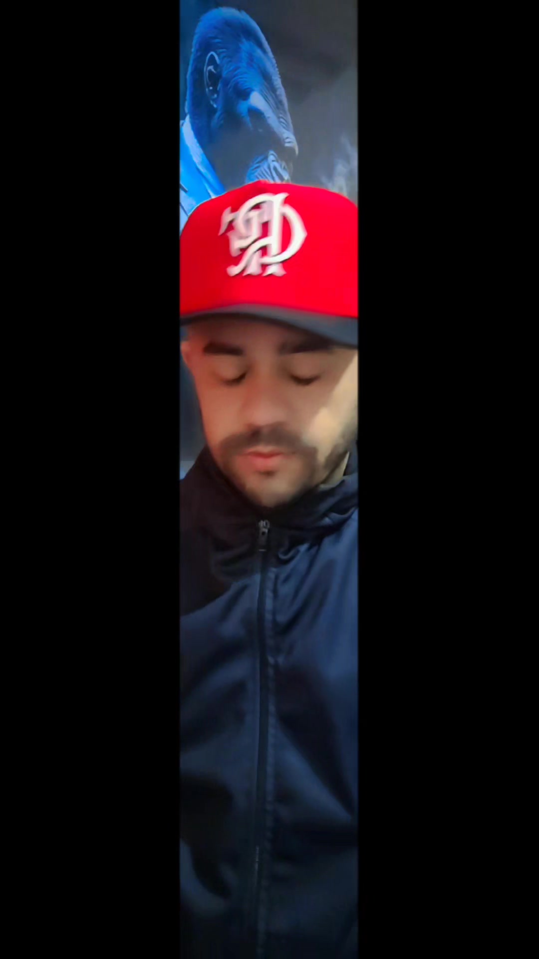 @vidal tiktok2
