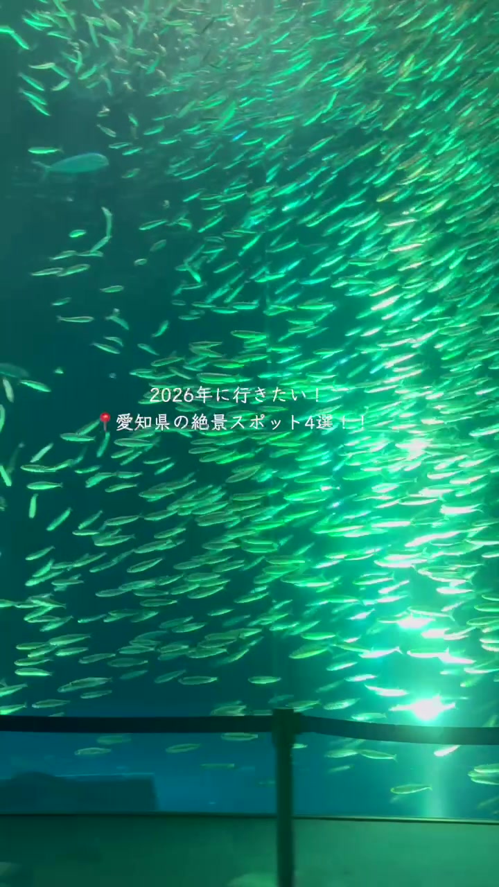 @Maru【全国旅する愛知県民】