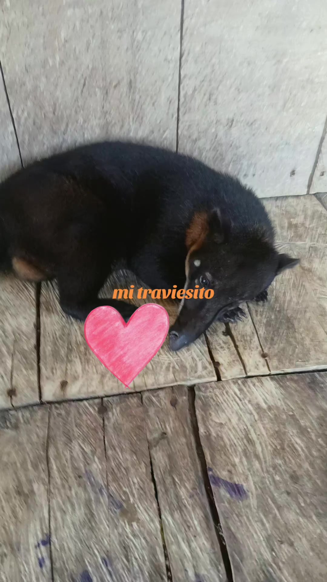 @karen 1992 🇵🇪💯❤️