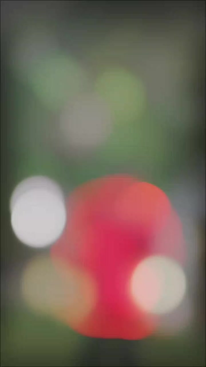 @๐๐๐๐๐ฏ๐ผ๐๐๐ช๐๐ช