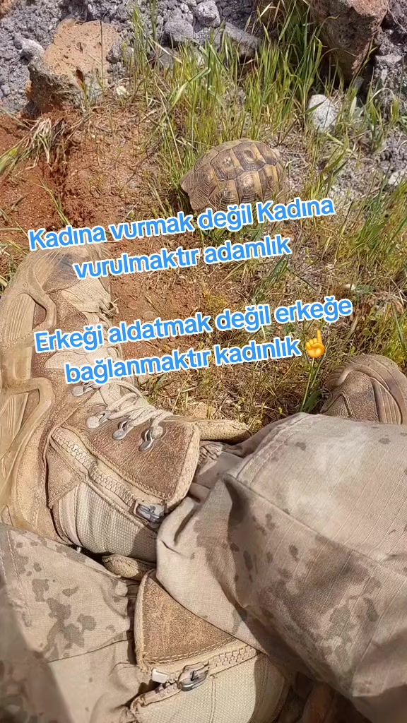 @𝐌𝐘 𝐋𝐈𝐅𝐄 𝐌𝐘 𝐑𝐔𝐋𝐄𝐒