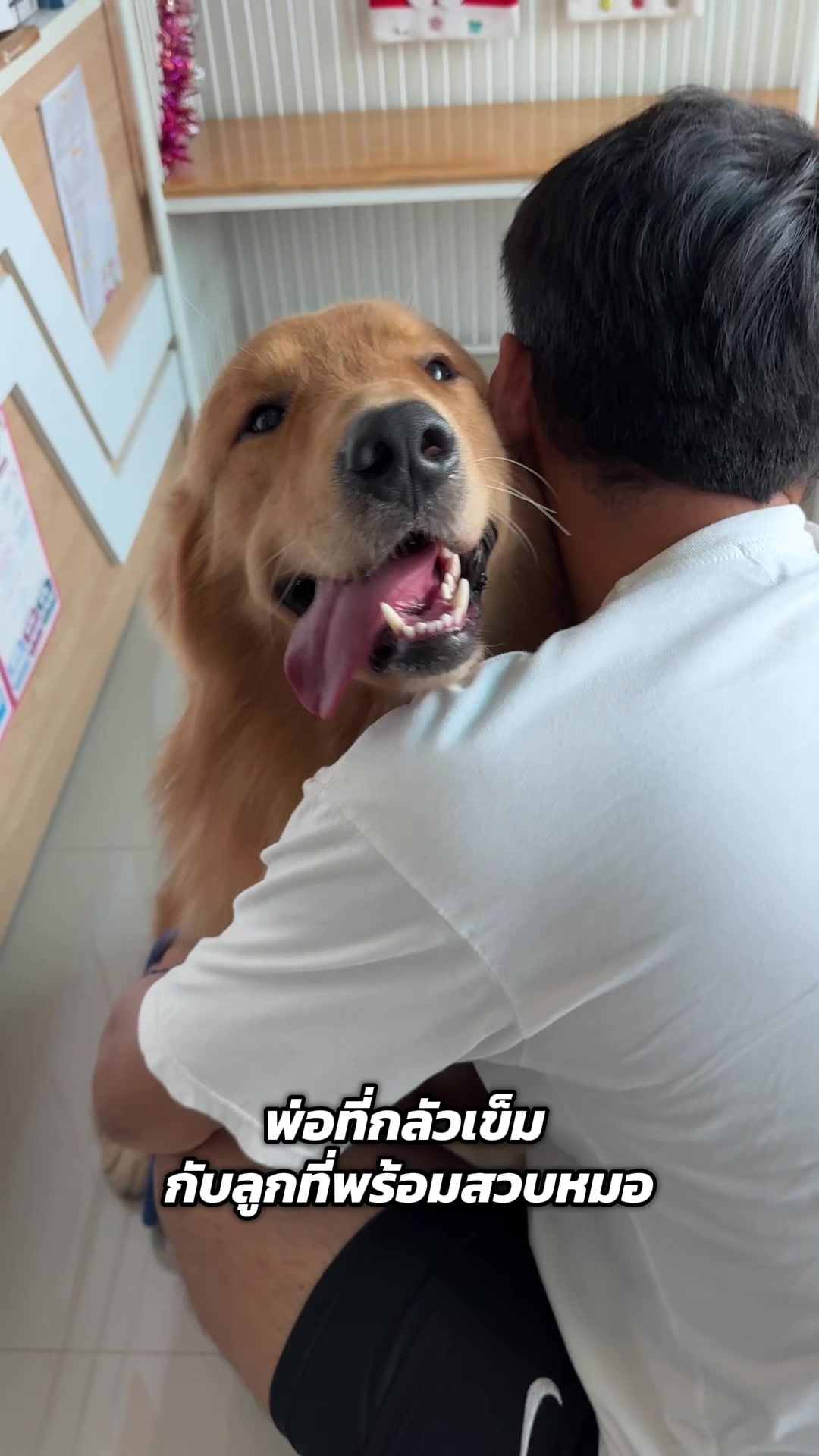 @ป๊อบคอร์นหมามึน