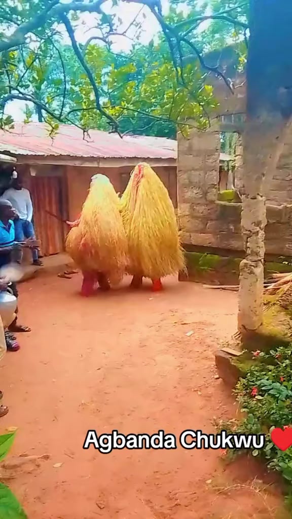 @IGBO BU IGBO