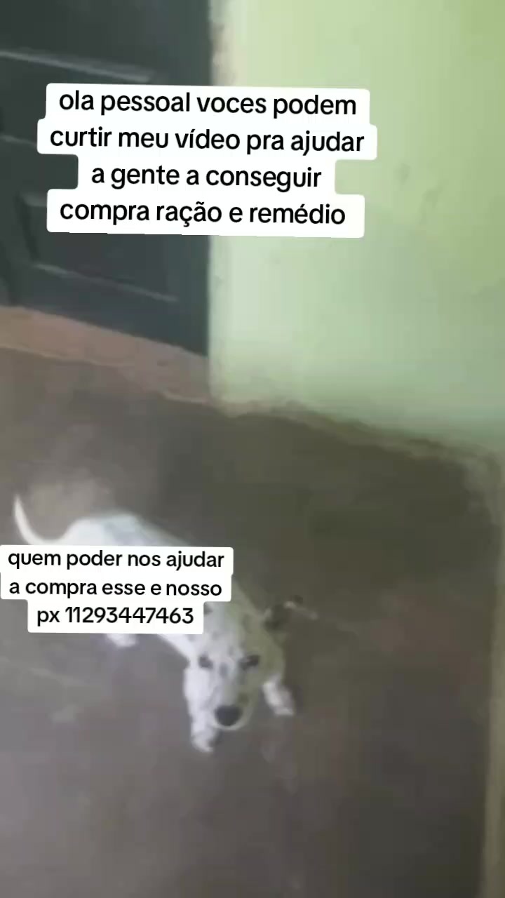 @Cãozinhoabandonado