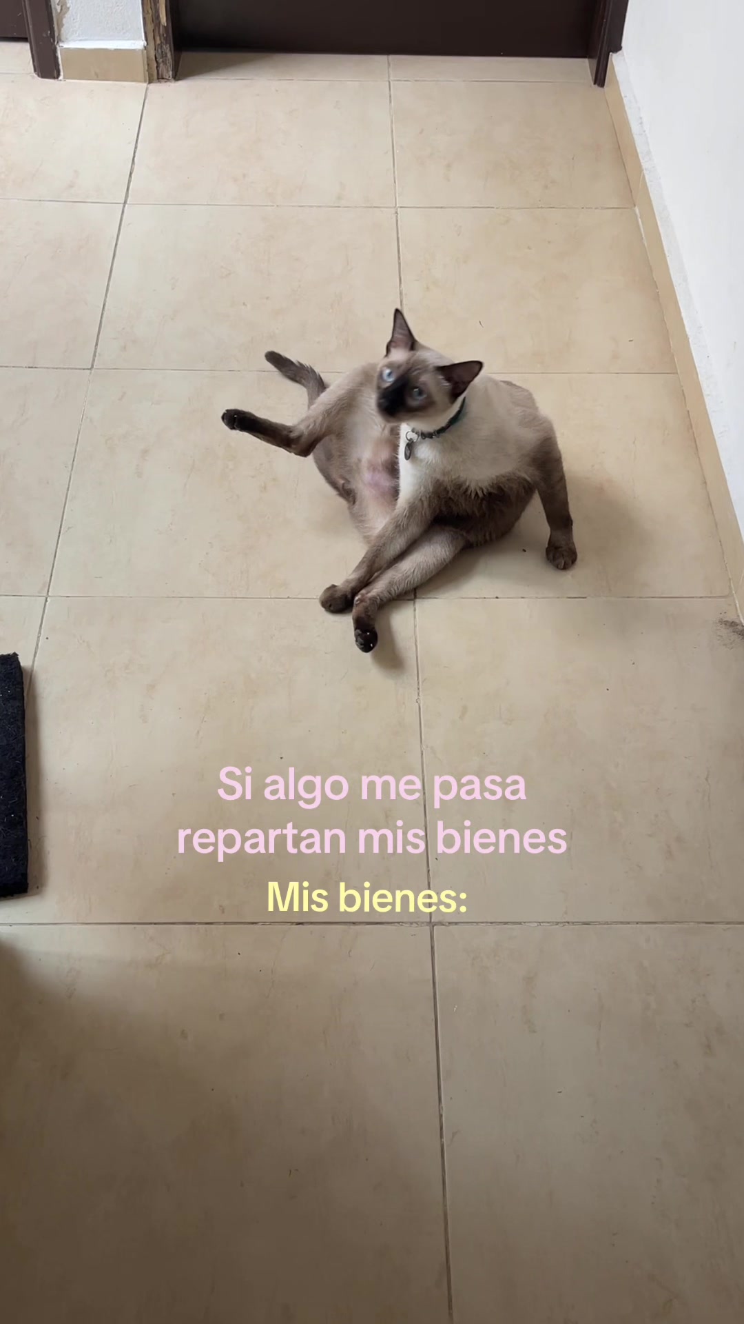 @Hermanitos siameses
