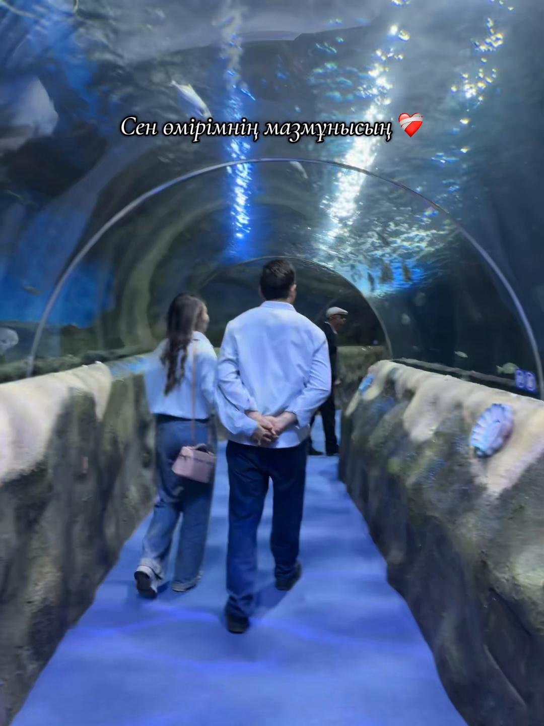 @Сая Усенбек