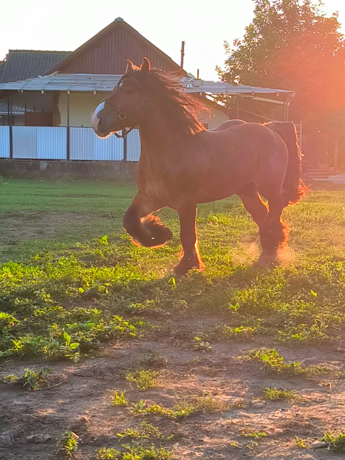 @ВАСЯ БОЙЧУК 🐎