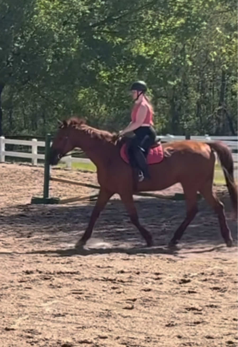 @ella_eqacc