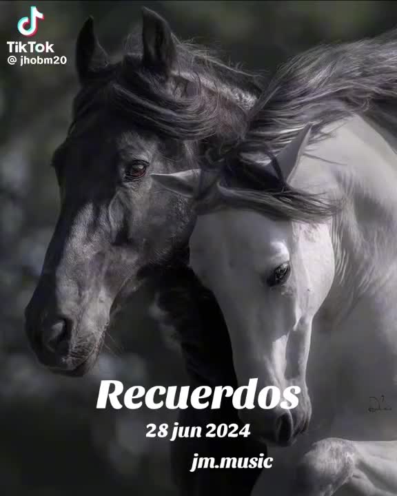 @rubencarrizalez65