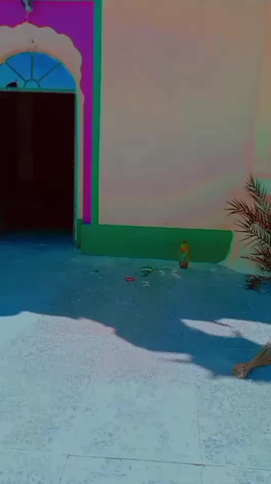 @Ⓜ️ Shahbaz