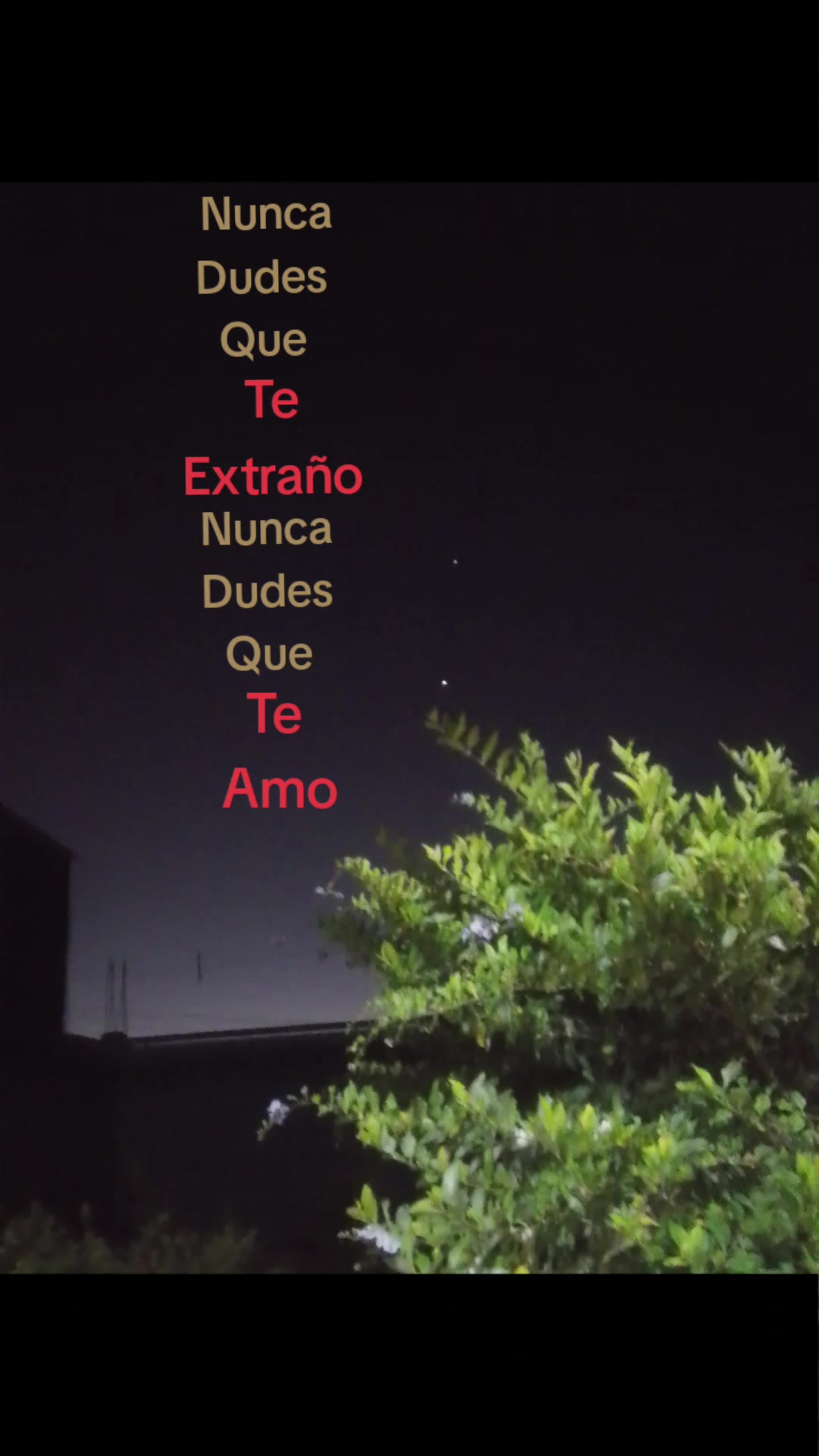 @️Eʅყ C&alpha;ʅ&alpha;ɳ&iota;🤍