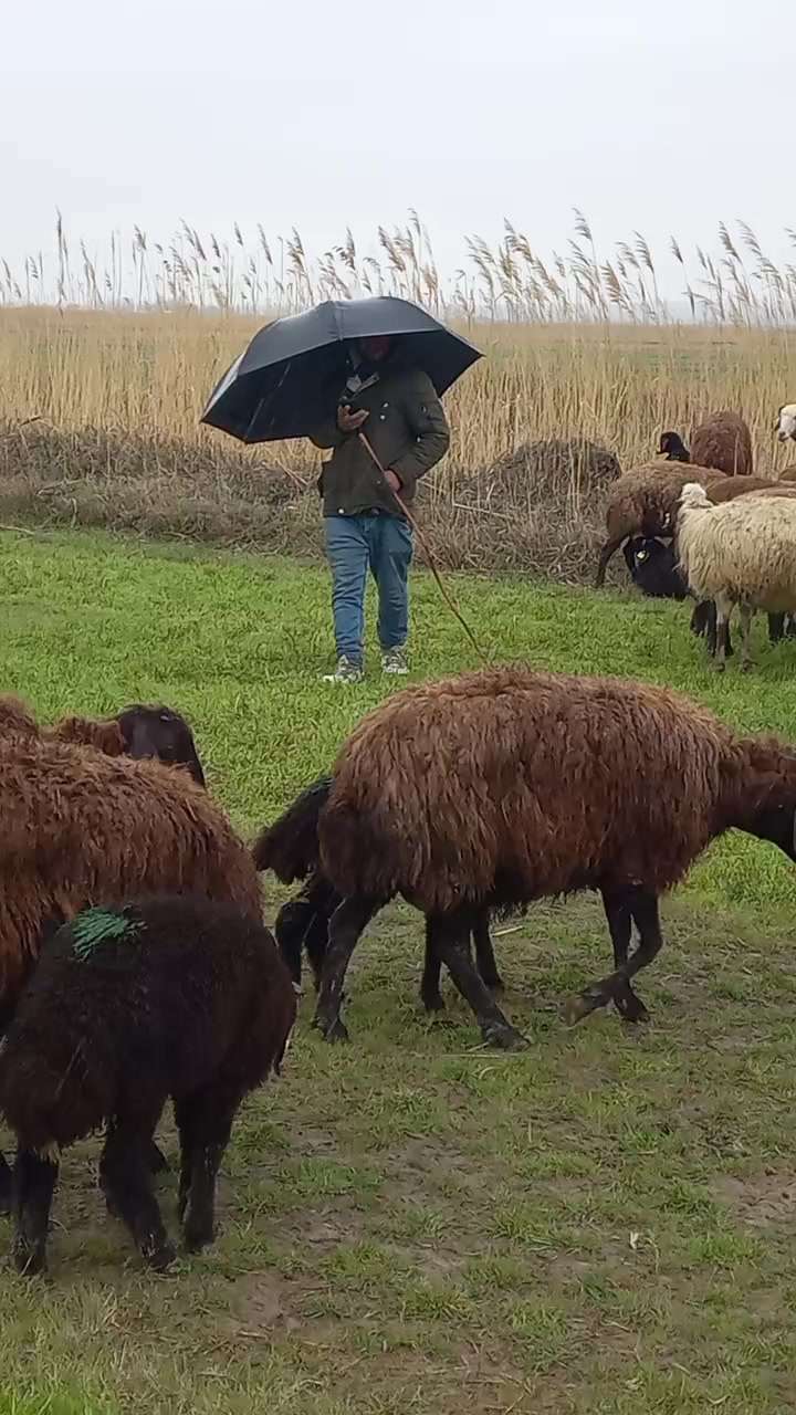 @&Ouml;mer KIYGA