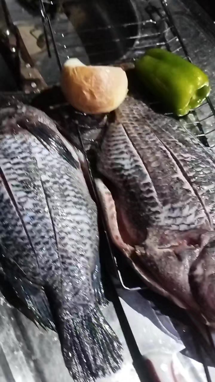 @Diegoalves2313