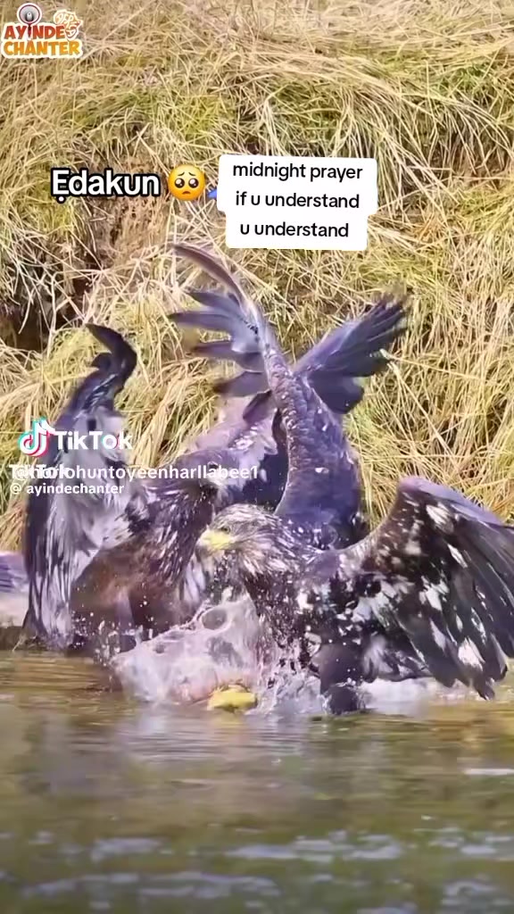 @QUEEN👑 SHEEBA-YEYE🧜OLOMITUTU