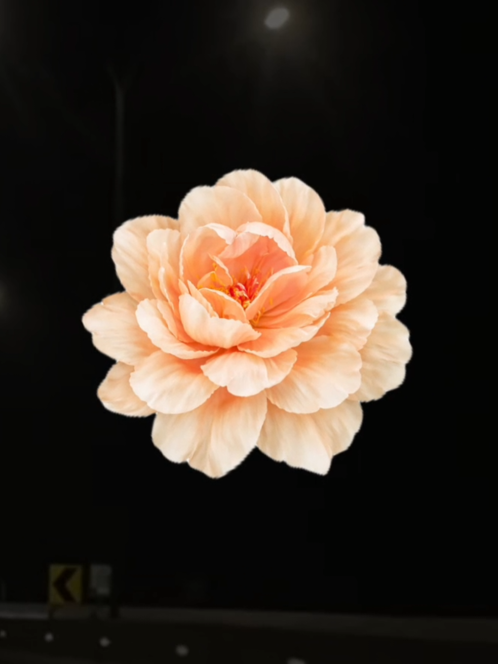 @𝐗𝐕𝐈 𝐀.𝐂