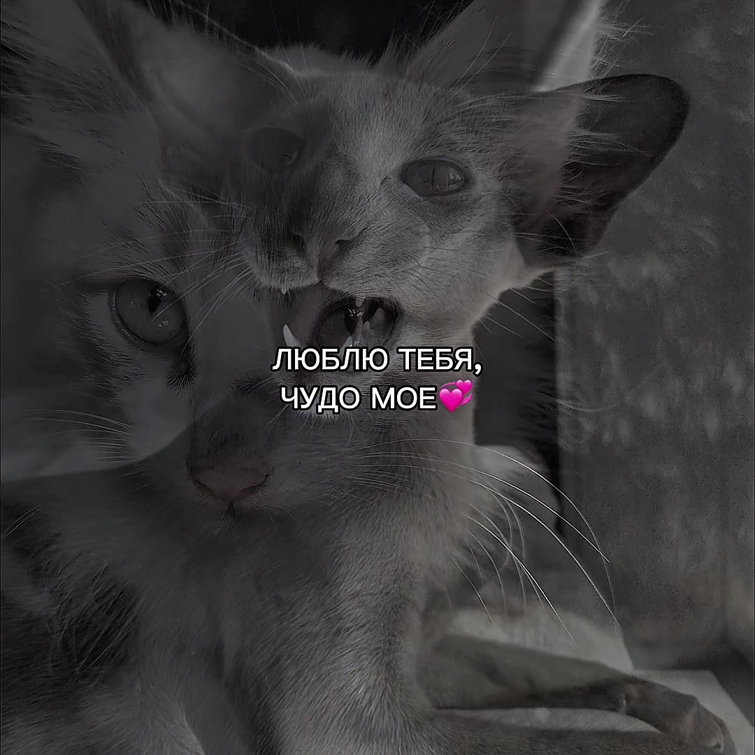 @ХХИКА