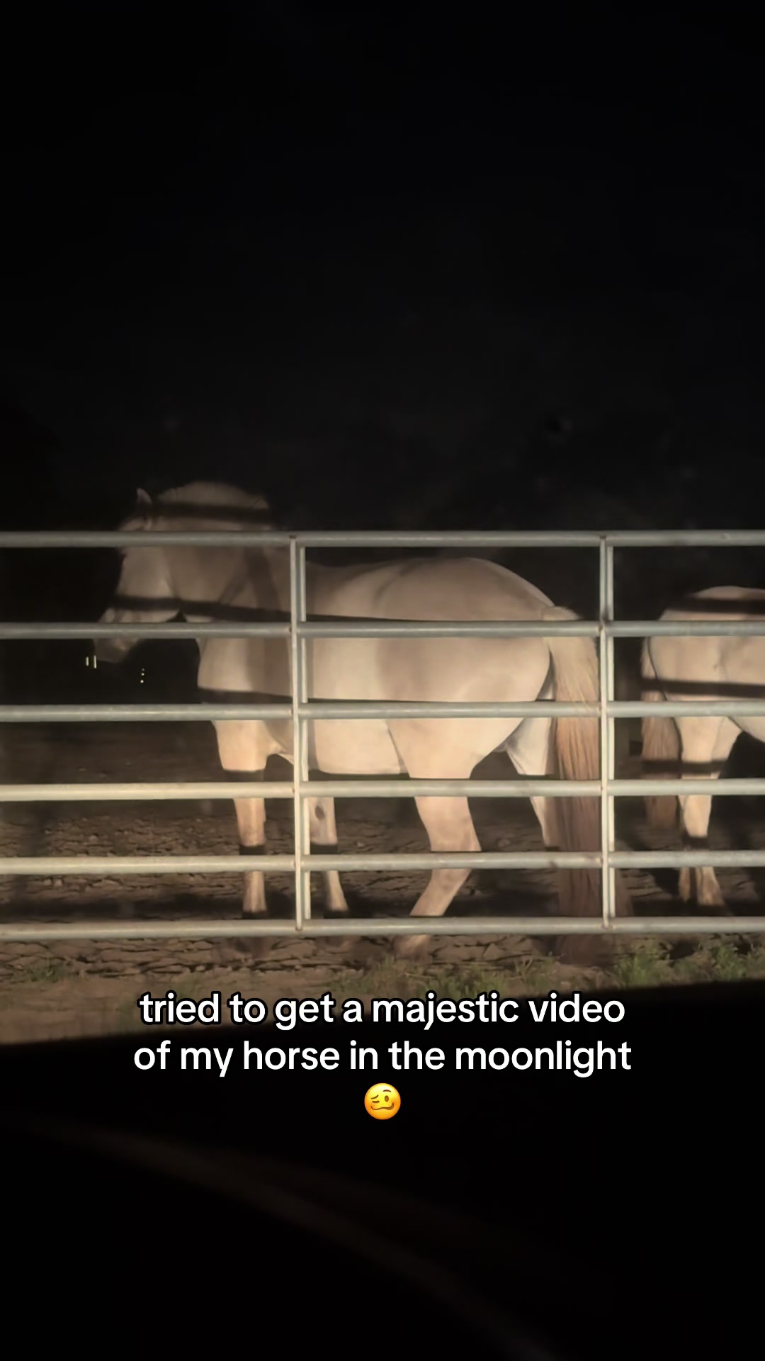 @madponies
