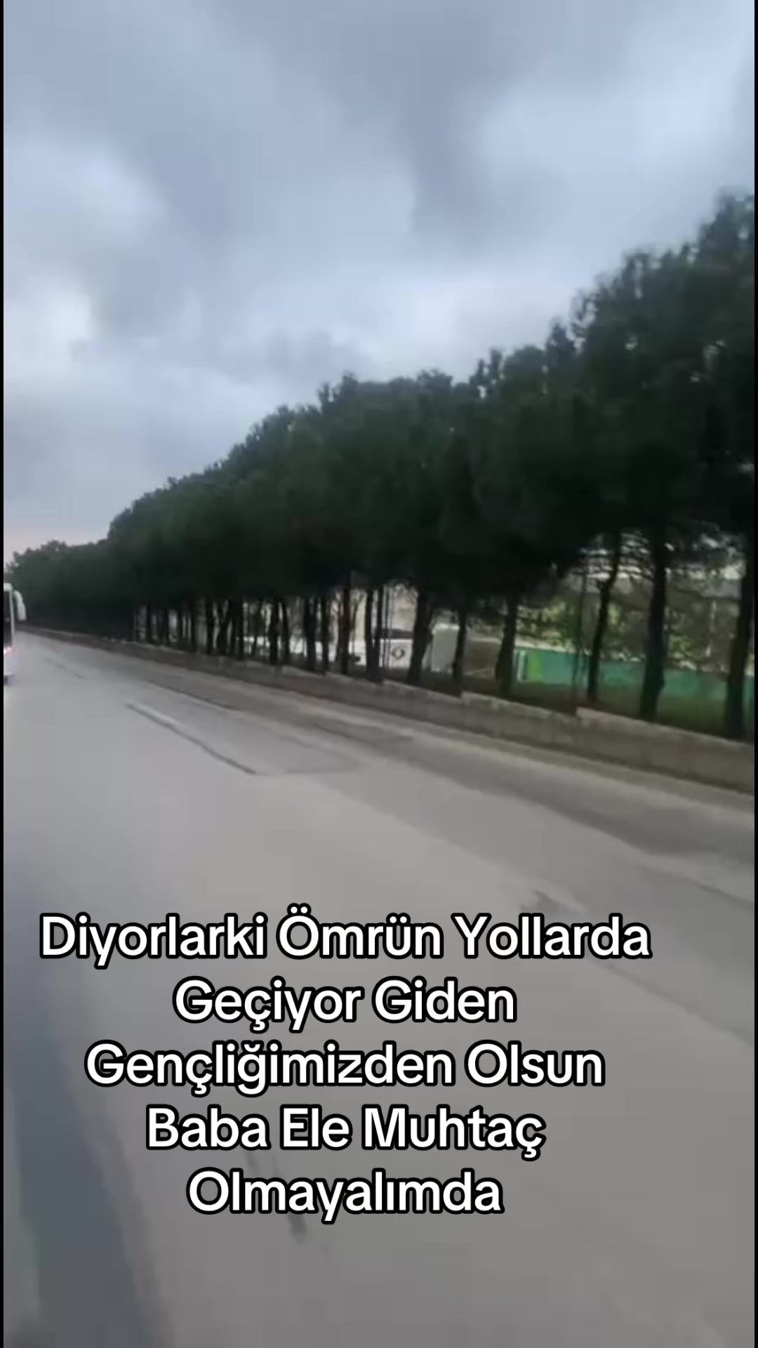 @SarıSezgin4134