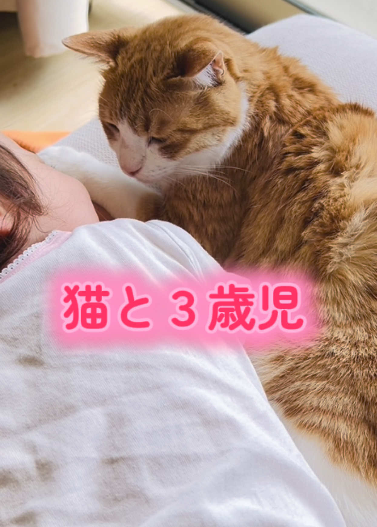 @みーこchannel