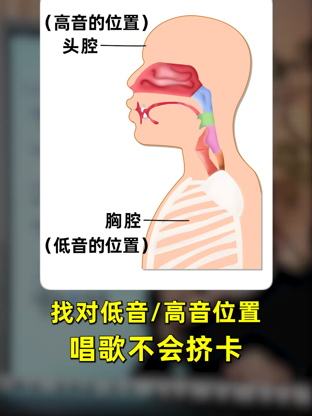 @SOU-E夏夏老師教唱歌
