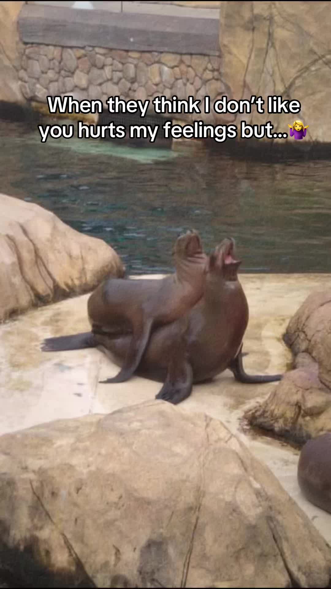 @Kris10LC_