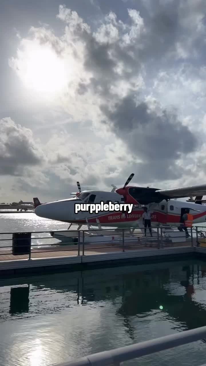 @🧿࣪℘ִֺֹֹֹ࠭υ᥅࣪℘ִֺֹֹֹ࠭࣪pleberry