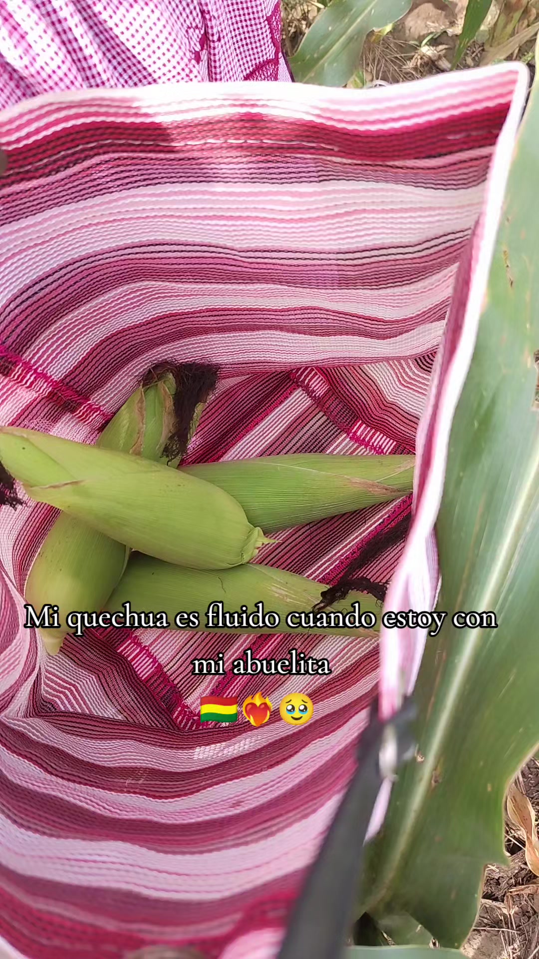@Alejandra :)